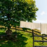 Photo simple outfits