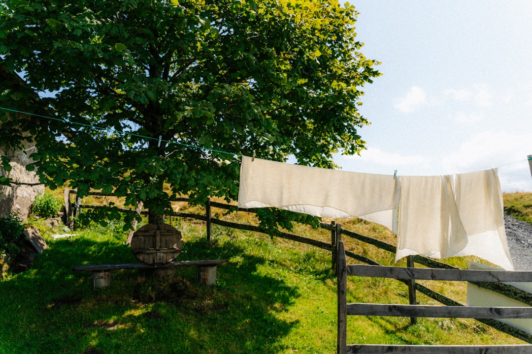 Photo simple outfits